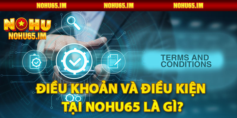 Điều Khoản và Điều Kiện Tại Nohu65 Là Gì?